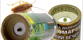 Εντομοκτόνα βόμβες καπνού για να σκοτώσει κατσαρίδες στο διαμέρισμα