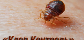 Υπηρεσία Ελέγχου Παρασίτων Ελέγχου Bedbug και Χαρακτηριστικά του Έργου